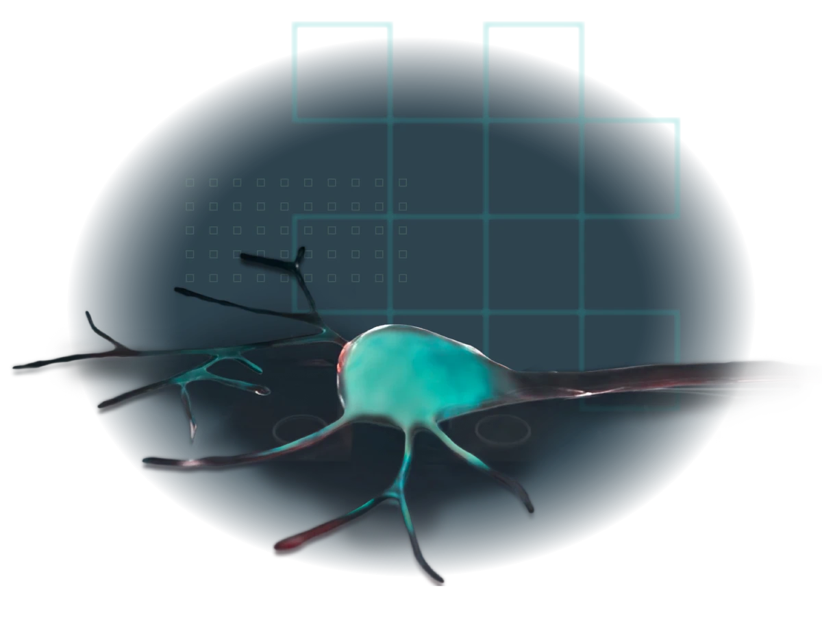 Graphic of neuron