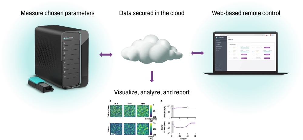 Graphic of Pixel workflow